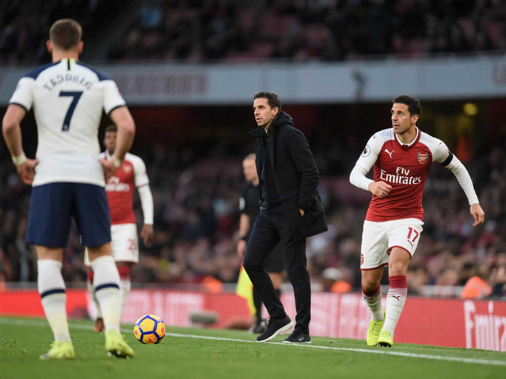 这一决定不 这一决定不