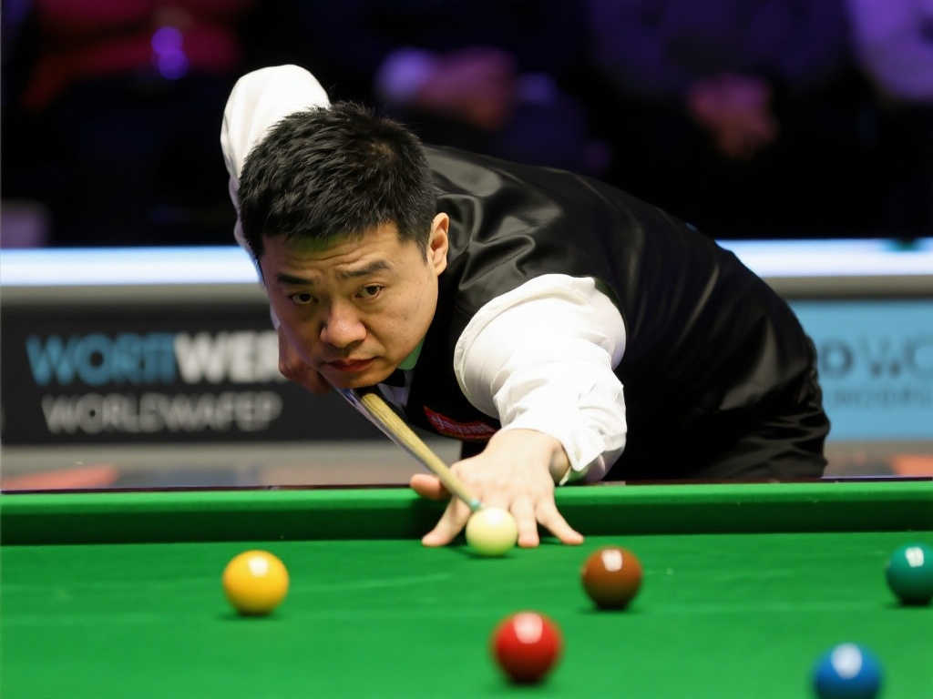 他们期待的 他们期待的