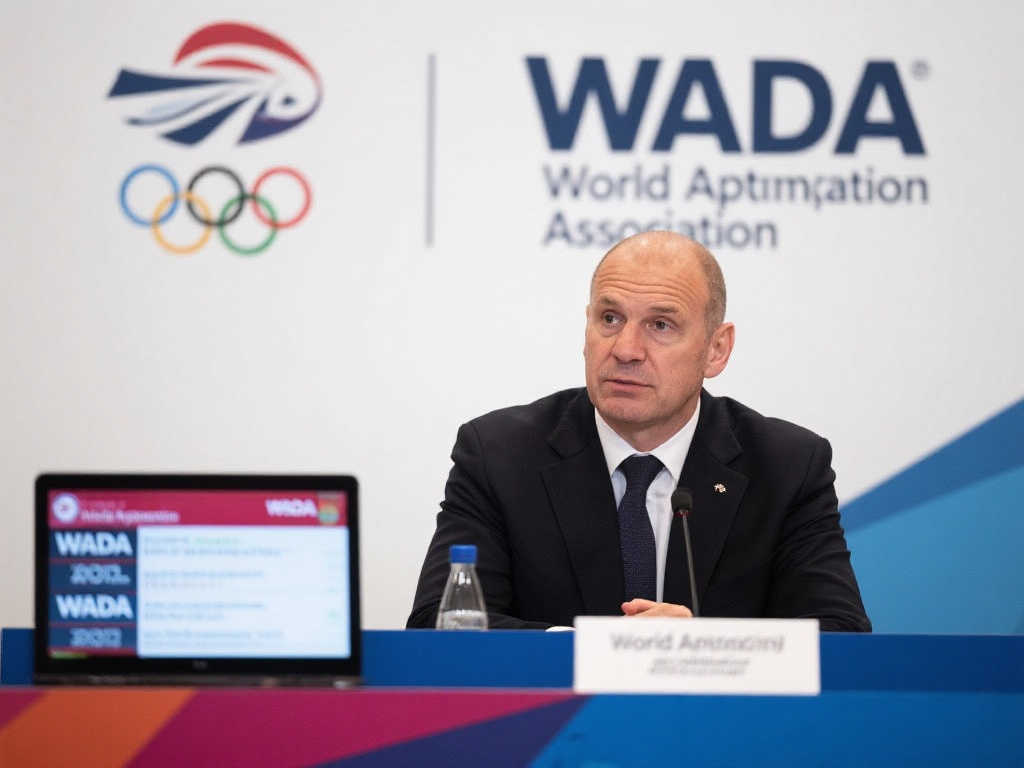 乱球队的内 乱球队的内